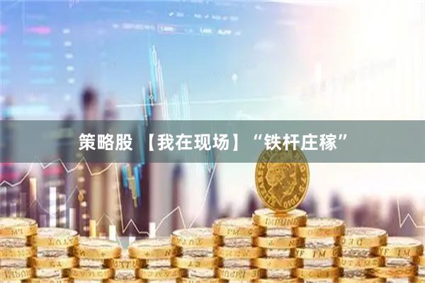 策略股 【我在现场】“铁杆庄稼”